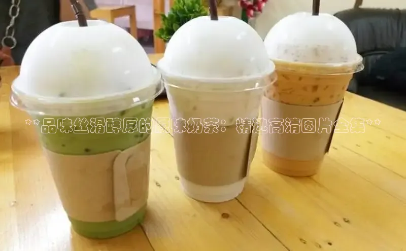 熊猫app下载百度翻译App