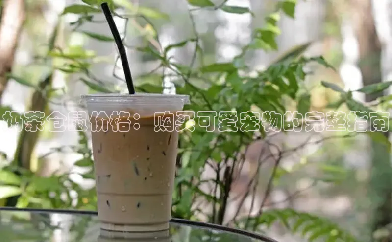 熊猫体育app官网路畅科技