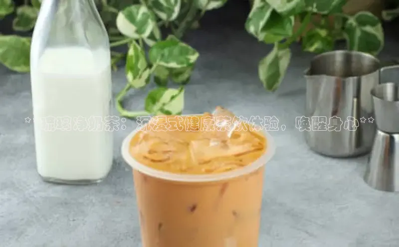 熊猫app下载百度翻译App